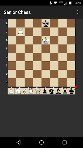 Senior Chess