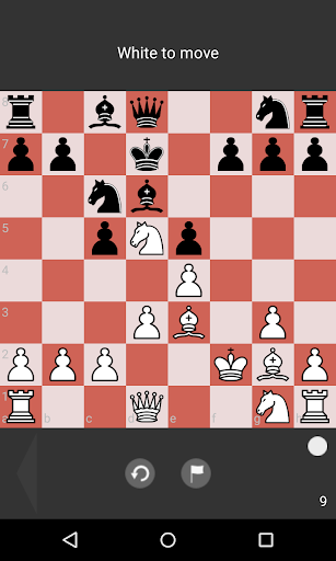 Chess Tactic Puzzles