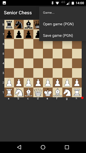 Senior Chess